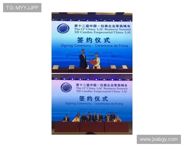 聚焦保险企业家引领行业创新与可持续高质量发展战略路径研究探索