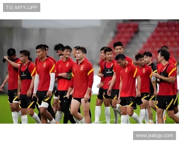 米利西奇：明确大家期待 陈晨伤情不重